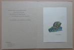 HUGO CLAUS / ZINNEN & VRUCHTEN / KLEURLITHO / 32x24cm, Antiek en Kunst, Ophalen of Verzenden
