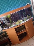 Juwel vision 450, Dieren en Toebehoren, Vissen | Aquaria en Toebehoren, Ophalen