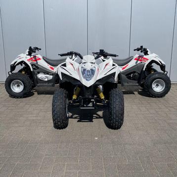 Kymco maxxer 90c 