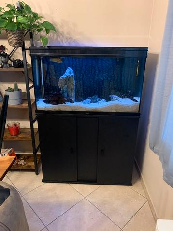 Aquatlantis 100-60-40, Dieren en Toebehoren, Ophalen, Gebruikt