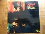 Jimi Hendrix, Cd's en Dvd's, Vinyl | Rock, Ophalen of Verzenden, Gebruikt, 12 inch, Rock-'n-Roll