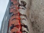 kuhn ploeg TR65T, Zakelijke goederen, Landbouw | Werktuigen, Ophalen