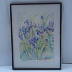 Origineel aquarel"Blauwe Irissen". Ingelijst 31 x4 cm., Ophalen of Verzenden