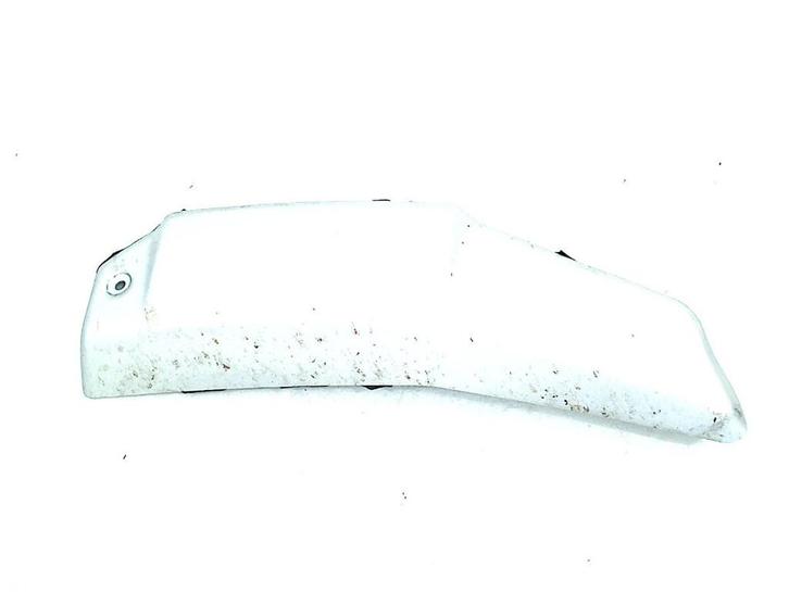 RADIATEURKAP Ducati Streetfighter V4 (V4S) 2020-2022, Motoren, Onderdelen | Ducati, Gebruikt