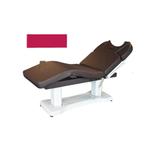 Professionele massagetafel met motoren, Ophalen, Zo goed als nieuw, Massagetafel