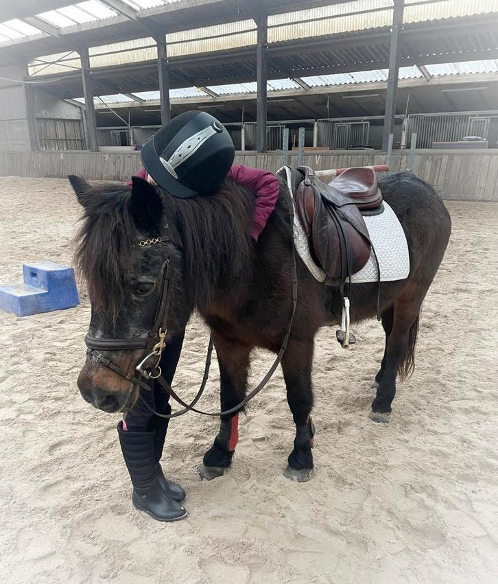 Super lieve pony op leeftijd zoekt spoedig goed huisje, Dieren en Toebehoren, Pony's