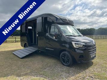 Renault Master STX 2-paards paardenvrachtwagen 5-pers. dubbe beschikbaar voor biedingen