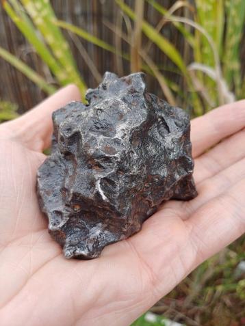 Campo Del Cielo meteoriet - 626 gram beschikbaar voor biedingen