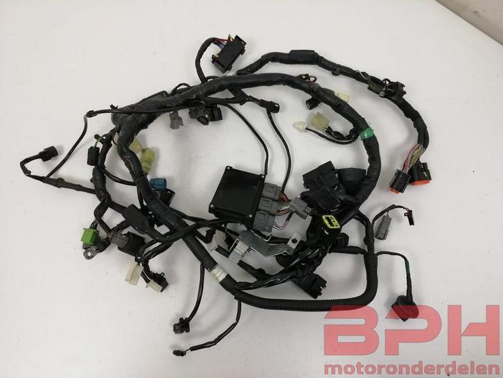 Kabelboom Kawasaki Z300 ABS ER300A 2018 draadboom kabel boom, Motoren, Onderdelen | Kawasaki, Gebruikt, Ophalen of Verzenden