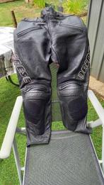 Pantalon de moto dainese T46 S, Dainese, Pantalon | cuir, Seconde main