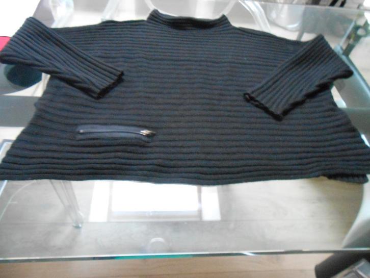 Sarah Pacini, Kleding | Dames, Truien en Vesten, Gedragen, Zwart, Ophalen of Verzenden