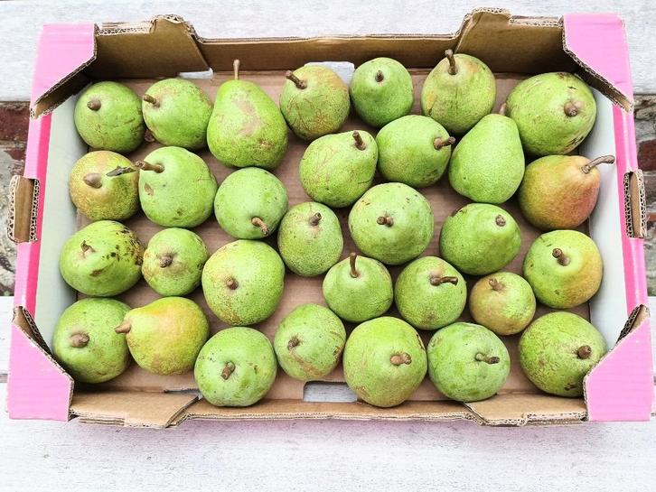 stoofperen, Zakelijke goederen, Landbouw | Aardappelen, Groenten, Fruit en Vlees, Ophalen