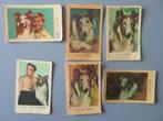 6x chromo,s film Lassie, Verzamelen, 1960 tot 1980, Verzenden, Zo goed als nieuw, Prent