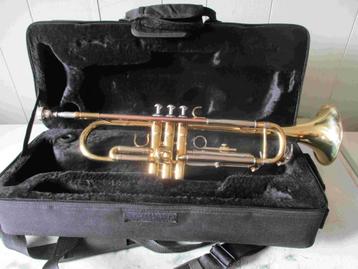 Trompet Giant  beschikbaar voor biedingen