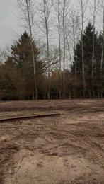 GRATIS hout- bomen zelf af te doen (REGIO HERSELT), Ophalen, Overige houtsoorten, Stammen