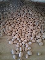 Fontane pootgoed 35/50 5000 kg, Zakelijke goederen, Landbouw | Aardappelen, Groenten, Fruit en Vlees, Ophalen