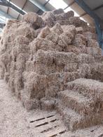 hooi 2025 in kleine balen, Dieren en Toebehoren, Ophalen of Verzenden