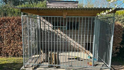 Hondenren, Dieren en Toebehoren, Hondenhokken, Zo goed als nieuw, Ophalen