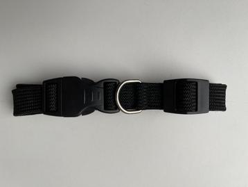 Halsband hond  beschikbaar voor biedingen