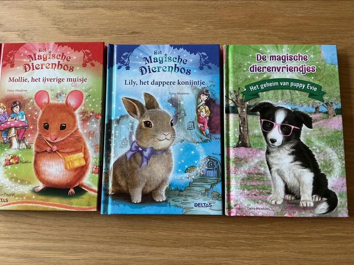 Daisy Meadows - Mollie, het ijverige muisje-Lily,het da………., Boeken, Kinderboeken | Jeugd | onder 10 jaar, Gelezen, Ophalen