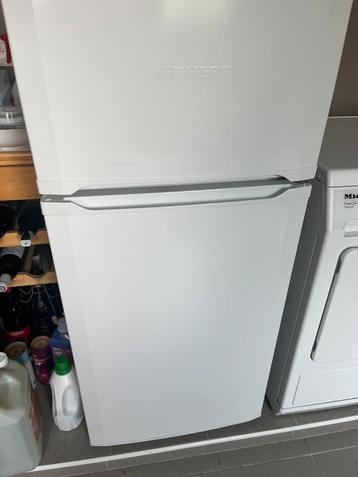 Frigo en diepvries beschikbaar voor biedingen