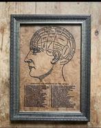 Lot de 8 gravures médicales et scientifiques, Ophalen of Verzenden