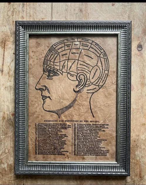 Lot de 8 gravures médicales et scientifiques, Antiek en Kunst, Kunst | Tekeningen en Fotografie, Ophalen of Verzenden
