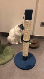 Nouvel arbre à chat, Enlèvement, Griffoir