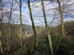 Houffalize - Nadrin: foret de 2000 m², Immo, Terrains & Terrains à bâtir, Houffalize, 1500 m² ou plus
