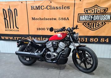 Harley-Davidson Cruiser SPORT - NIGHTSTER 975 (bj 2023) beschikbaar voor biedingen