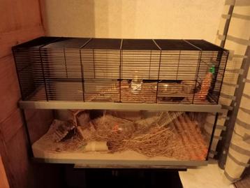 Kot voor hamster en andere knaagdieren, Moins de 60 cm, 75 à 110 cm, Cage, Enlèvement