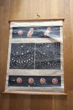 Vintage poster , schoolkaart Atoomkernsplitsing, Antiek en Kunst, Ophalen of Verzenden, Natuur en Biologie