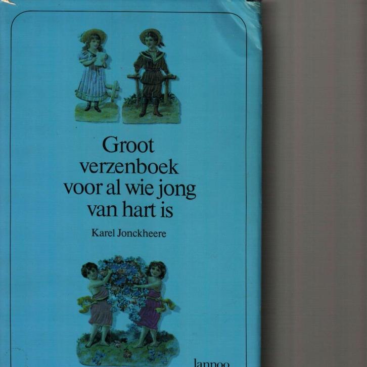 Groot verzenboek voor al wie groot van hart is 494 blz, Boeken, Gedichten en Poëzie, Zo goed als nieuw, Ophalen of Verzenden