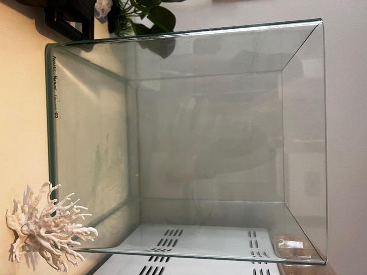 Aquarium + toebehoren, Dieren en Toebehoren, Vissen | Aquaria en Toebehoren, Ophalen