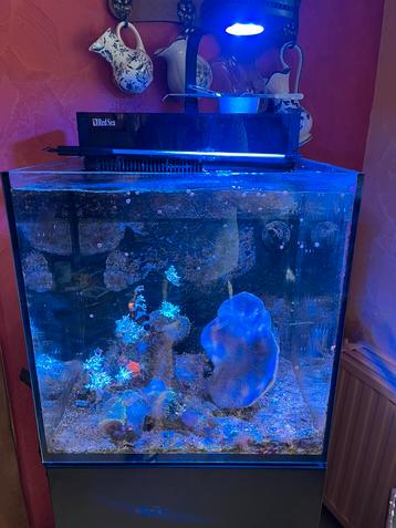 Red sea nano 75L avec meuble red sea noir complet, Enlèvement, Utilisé, Autres types