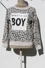 Sweatshirt van Pull & Bear maat S, Kleding | Dames, Zwart, Ophalen of Verzenden, Zo goed als nieuw, Maat 36 (S)