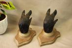 Everzwijn poten kapstok - Taxidermie, Ophalen of Verzenden, Gebruikt, Wild dier