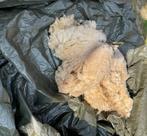 schapenwol (Ardense voskop), Hobby en Vrije tijd, Ophalen