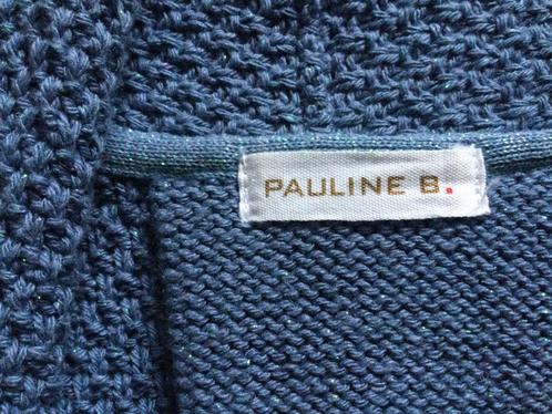 Pauline b Gilet splinternieuw, Vêtements | Femmes, Pulls & Gilets, Neuf, Taille 38/40 (M), Bleu, Envoi