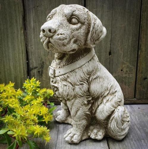 Betonnen tuinbeeld - pup labrador / golden retriever, Jardin & Terrasse, Statues de jardin, Neuf, Animal, Béton, Enlèvement ou Envoi