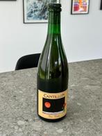 Fou Foune Cantillon 2023 - bier - Lambic Geuze foufoune, Verzamelen, Nieuw, Ophalen of Verzenden