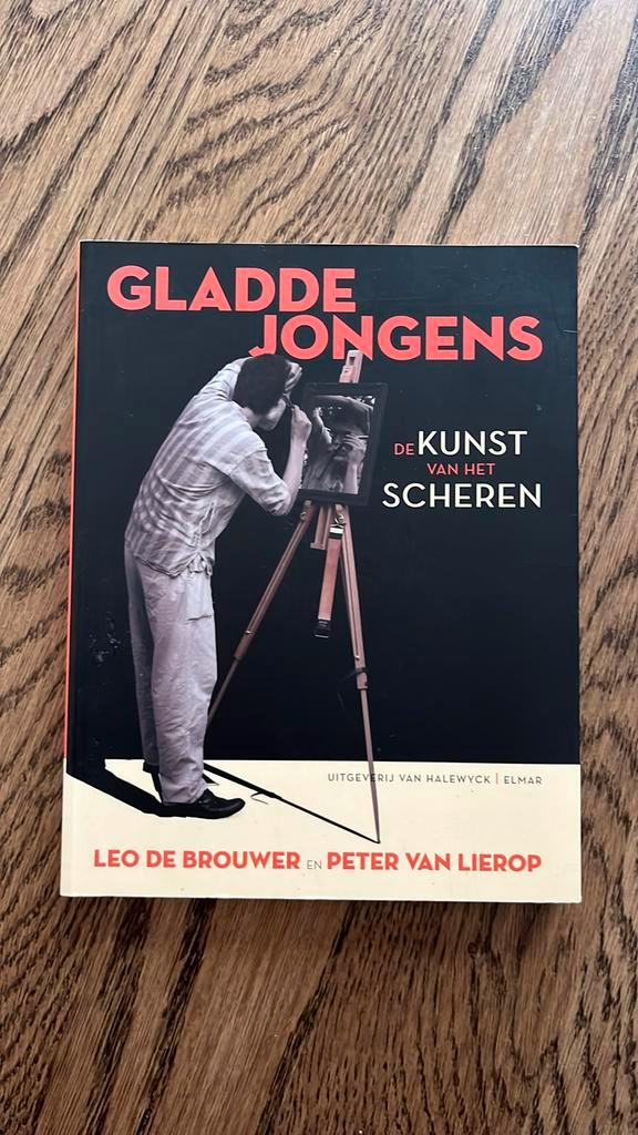 P. van Lierop - Gladde jongens, Boeken, Overige Boeken, Zo goed als nieuw, Ophalen