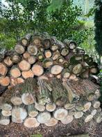 Brandhout goed droog prijs per kuub, Tuin en Terras, Brandhout, Ophalen of Verzenden, Blokken, 6 m³ of meer, Overige houtsoorten