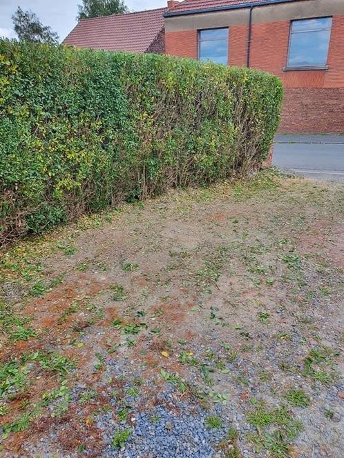 Pour de bon travaux jardin et maçonnerie, nous sommes la, Tuin en Terras, Tuinhekken en Hekwerk, Ophalen of Verzenden