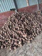 Voederbieten, Enlèvement