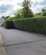 Goedkope tuinman, Ophalen