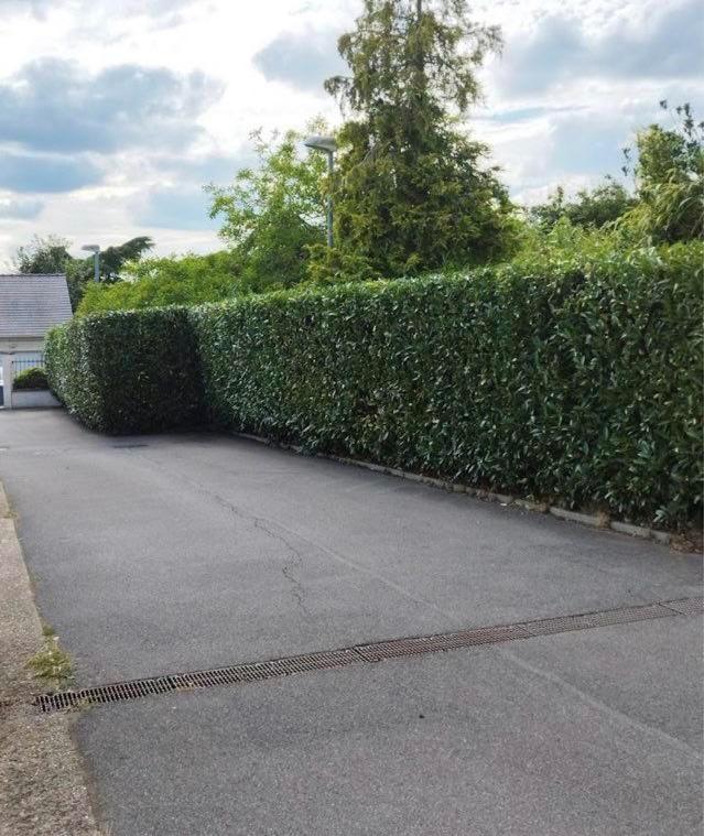 Goedkope tuinman, Tuin en Terras, Gras en Kunstgras, Ophalen