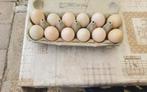 Verse eieren van eenden met vrije uitloop, Enlèvement