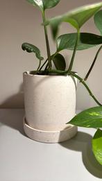 Gespikkelde bloempot, Tuin en Terras, Ophalen, Zo goed als nieuw