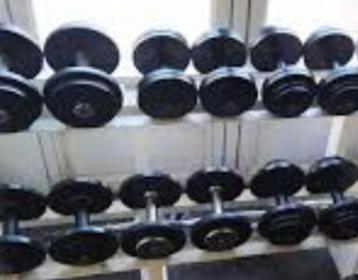 halter pro 1,5€/kg, Sport en Fitness, Ophalen, Gebruikt, Rug, Dumbbell